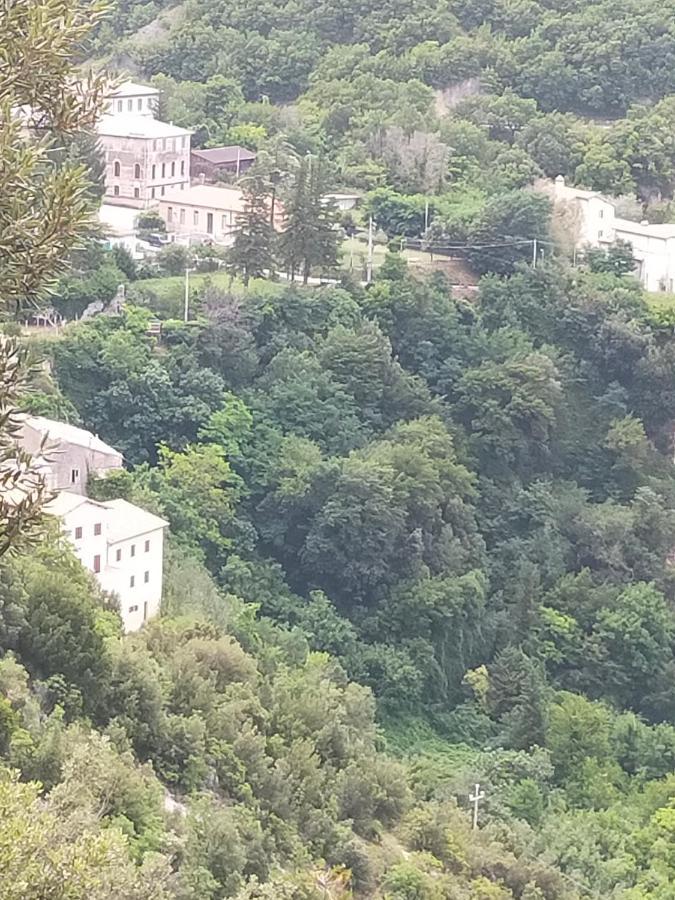 Traivicolidifoligno Hotel Kültér fotó